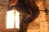Bruce with a candle lantern in Medieval Castle in Cēsis LV