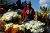 Flowers outside Iglesia Santo Tomas. Market day in Chichicastenango GT