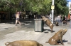 A Day Out sculpture in Rundle Mall, Adelaide SA