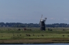 Windmill and broads at Burgh Castle, Norfolk UK