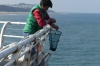 'Crabbing' at Cromer on Norfolk Coast UK