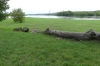 The confluence of the Neris and Nemunas Rivers, Kaunas LT