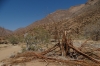 Albine Tree and Acacia which was destroyed by the Desert Elephants. Brandberg Mountain, Namibia
