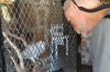 Bruce making friends with the White Lady Lodge parrot, Namibia