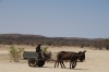 Dounkey Cart is a common sight in Namibia, this one at the Petrified Forest near Khorixas