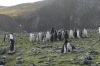 Barrientos Island in the Aitcho Archipelago, South Shetland Islands, Antarctica