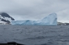 Icebergs from the Zodiac expedition near George's Point, Antarctica