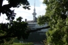 City Tower from the Auckland Domain NZ