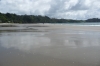 Palm Beach, Waiheke Island, Auckland NZ