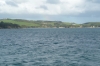 Matiatia Bay, Waiheke Island, Auckland NZ