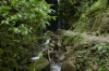 Cascada Guarumos, Casacada Reina excursion EC