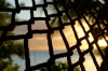 Sunset through the hammock, Fafa Island, Tonga