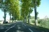 French country road - what else would you expect?