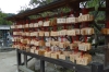 Wishes written at the Dazaifu Tenman-gū (shrine), Japan
