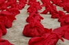 Art installation for the Bennial Art Fesival at Gayasan Haein Temple, South Korea.   Place a stone in the bag for each illness.