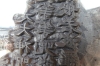 Tripitaka Koreana wooden tablets at Gayasan Haein Temple, South Korea