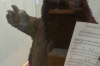 Rowlf the Dog for Purina Dog Chow, 1962. Centre for Puppetry Arts, Atlanta GA USA