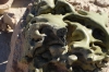 Ceramic kiln. Gonur Dep TM