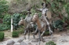One of many Don Quixote statues in Guanajuato