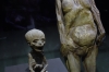 Mother and unborn child. Museum of Mummies, Guanajuato