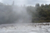 Orakei Korako cave and thermal park, on Lake Ohakuri near Taupo NZ