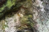 Orakei Korako cave and thermal park, on Lake Ohakuri near Taupo NZ