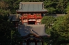 Tsurugaoka Hachimangu Shrine, Kamakura, Japan