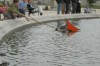 Sailing toy boats in the pond of the Jardin du Luxembourg, Paris FR