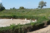 Gorsium Roman Ruins HU