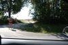 Who you see on the road to Lake Balaton HU