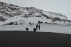 Christmas Day walk on Vik Beach, complete with black sand and snow IS