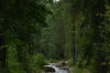 Walk around the Imatrankoski Rapids, Imatra FI