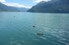 Lake Brienzersee near Oberried CH
