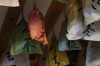 Ginseng in the green bags, Traditional Herbal Medcine Doctor's rooms in Jeonju KR
