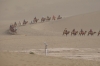 Camel train for the tourists. The Singing Sand Mountains and Crescent Spring, Dunhuang CN