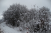 Driving from Telavi to Tbilisi Airport. Snow is beautiful