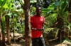 Guide & Assistant, Kidichi Spice Farm, Zanzibar Island, Tanzania