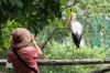 Bird Park, Kuala Lumpur MY