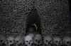 The Ossuary at Sedlec CZ