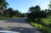 On the road, passing sugar cane fields, La Romana DO