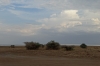 The lake, Lake Manyara Park, Tanzania