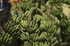 Bananas. Market Day in Mbuyuni, Tanzania