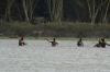 Local fishermen on Lake Navaisha, Kenya