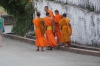 The elusive monks, Luang Prabang LA
