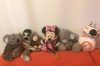 Sin Nombre, Pepe & Paco and friends in Berlin DE