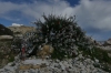 A return to Aphrodite's Rock for Thea CY