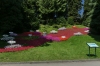 Flowers on Mainau Island DE