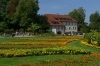 Flowers on Mainau Island DE