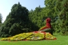 Flowers on Mainau Island DE