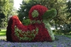 Flowers on Mainau Island DE